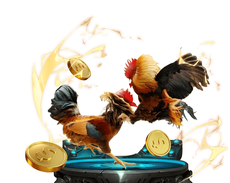 Trực tiếp đá gà go8 asia